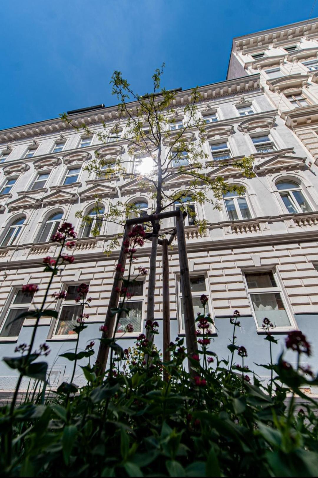 Vienna My City Apartment Garden View Exterior foto